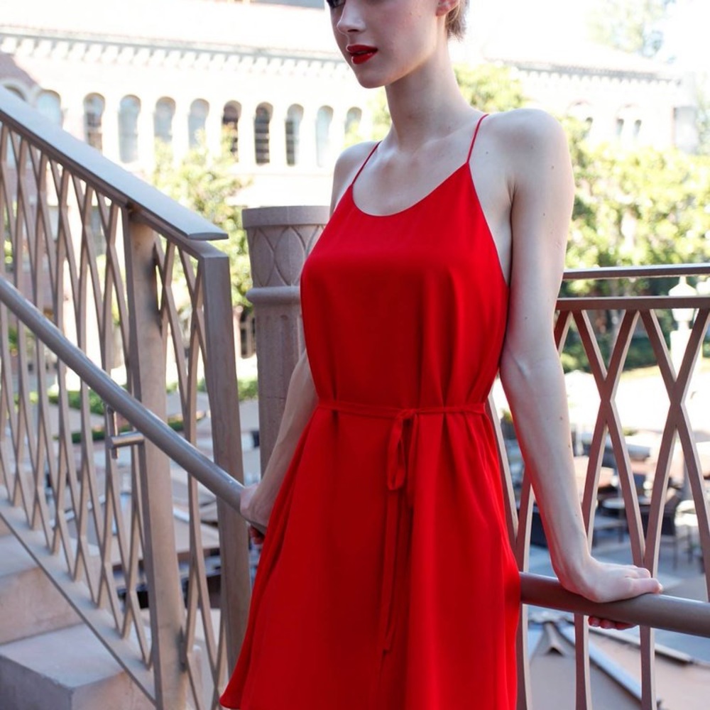 Naked Zebra Red Sleeveless Tie Belted Mini Dress - Size S